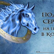 Сертификат на прогулку верхом, Казань