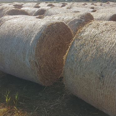 Продам сено, солому пшеничную в рулонах