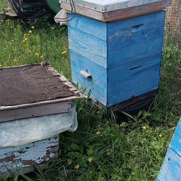 Продам улик для пчел