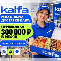 Первый бизнес с поддержкой. Франшиза kaifa, Касимов