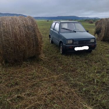 Сено в тюках