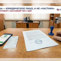 Переезды в другой город/ Междугородние переезды, Светогорск