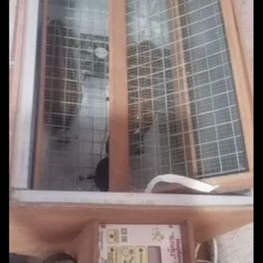 Инкубатор блиц 120 бу