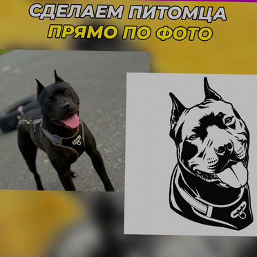 Питомцы по фото таблички на дом